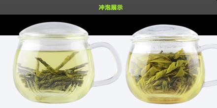 海南苦丁茶