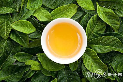 茶水送药