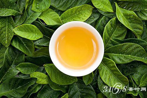什么样的茶才能称得上是绿茶