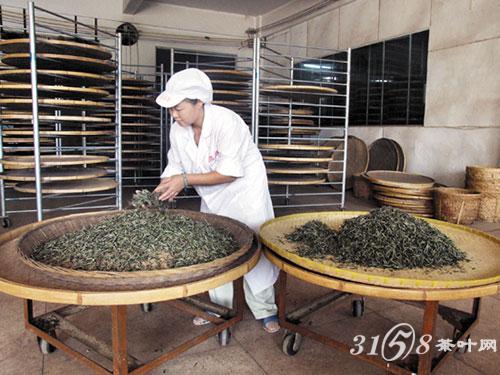 白茶的制作工艺有什么特别的地方