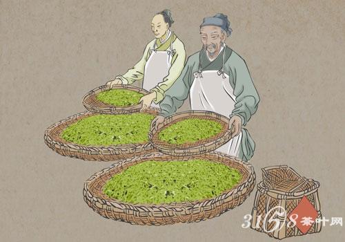制茶工艺中的摇青工艺是什么