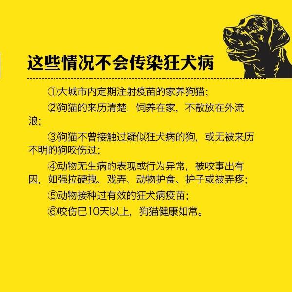 狂犬病不可治,如何預防?