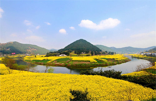 [2015東平湖油菜花節]2015東平湖油菜花節時間,地點,門票