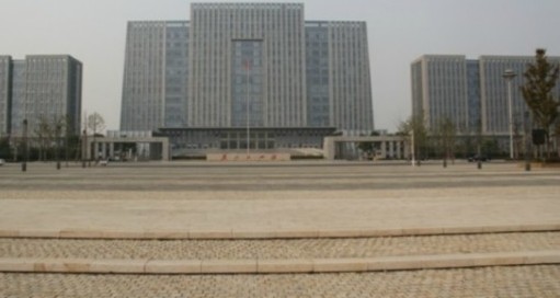 沛县政府大楼事件图片