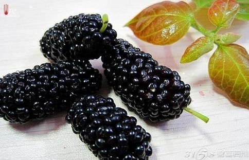 黑色水果是指什么水果 为啥有些水果属于黑色水果 黑色水果是怎么来的