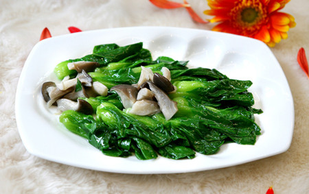 素食主义联盟 f8d290b5ffbc48792712b11ed5dff2cd.jpg