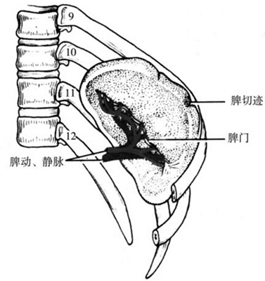 一回事  时不时的流口水,给生活,身体带来不便,什么因素会造成流口水