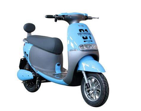 电动车品牌排行_电动车品牌排行2021(4)