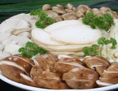 中盛永基食用菌 中盛永基食用菌