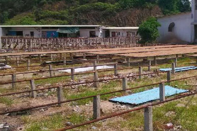 吉香缘制香机 吉香缘制香机