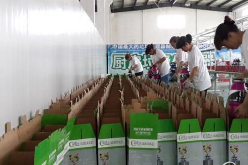 智能家具在哪里买 智能家具在哪里买