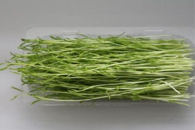 加盟菜立方芽苗菜步骤复杂吗 加盟菜立方芽苗菜步骤复杂吗