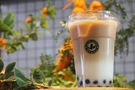 海岸茶度茶飲 海岸茶度茶飲