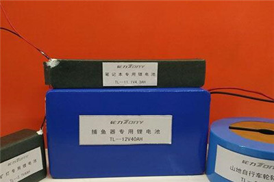 駱駝祥子鋰電池 駱駝祥子鋰電池