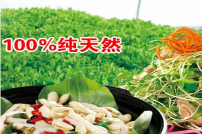 爱心农场芽苗菜加盟条件有哪些呢 爱心农场芽苗菜加盟条件有哪些呢