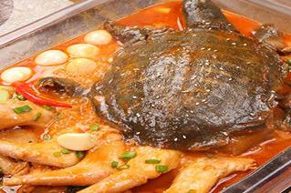 主题餐厅有哪些 适合年轻人消费的项目** 主题餐厅有哪些 适合年轻人消费的项目**