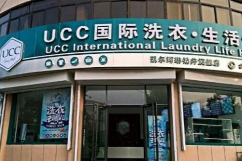 ucc國際洗衣代理需要多少錢 如何代理