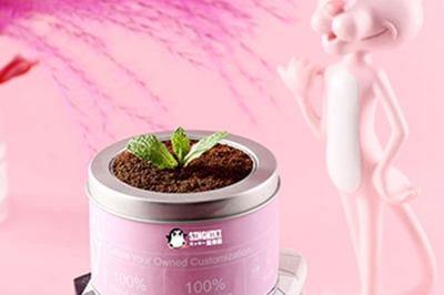 星米奇冰淇淋 冰淇淋界的中坚力量 星米奇冰淇淋 冰淇淋界的中坚力量