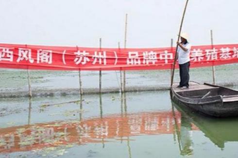 蟹太太生鲜新零售2019最新加盟费是多少 一共