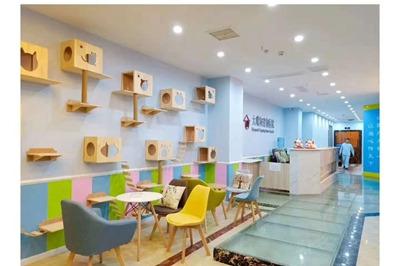 大嘴狗寵物培訓學校全國有多少加盟店 店鋪遍布全國 大嘴狗寵物培訓學校全國有多少加盟店 店鋪遍布全國