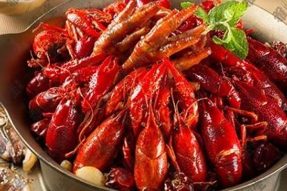 浙江杭州地區的個人創業做什么項目好 浙江杭州地區的個人創業做什么項目好