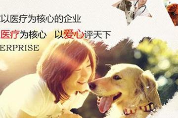 寵物美容有淡季嗎 應該怎么經營 寵物美容有淡季嗎 應該怎么經營