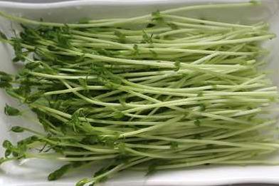 有没有人搞芽苗菜项目的 怎么做 有没有人搞芽苗菜项目的 怎么做