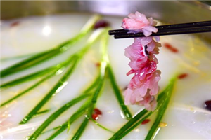 渝富順豆花魚*鍋 渝富順豆花魚*鍋