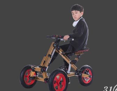 任性寶貝百變童車 任性寶貝百變童車