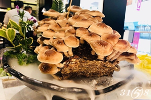 腩潮鲜牛腩*锅 腩潮鲜牛腩*锅