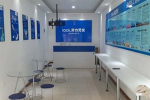 劳力**市场中介 劳力**市场中介