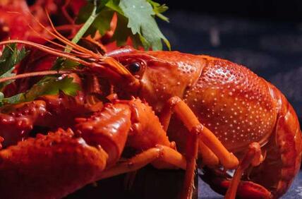 虾客食光 虾客食光